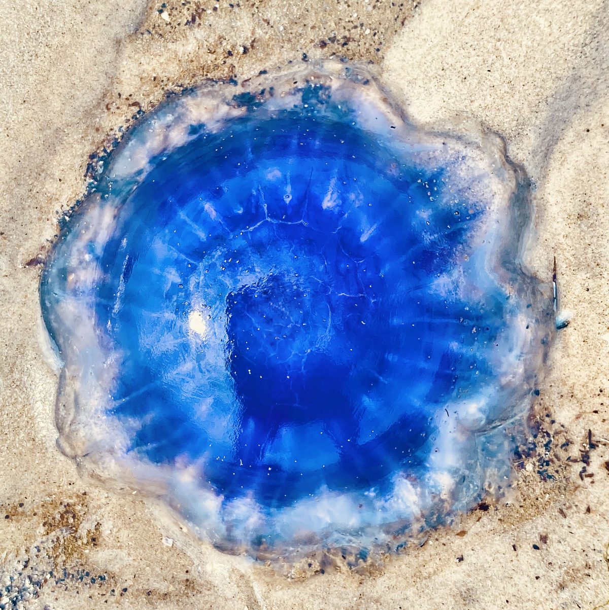 Zukunft macht Schule